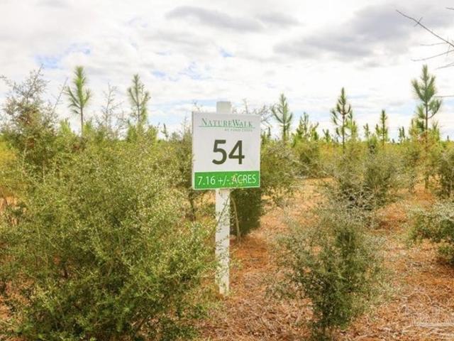 Land for sale in Jay, Florida