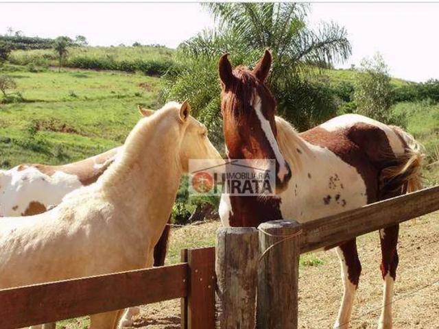 Fazenda aluguel em Região Imediata de Campinas, Região Metropolitana de Campinas