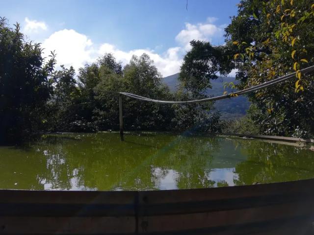Fazenda venda em Região Geográfica Imediata de Belo Horizonte, Região Metropolitana de Belo Horizonte
