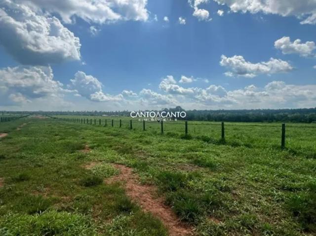 Fazenda venda em Região Geográfica Imediata de Sinop, Santa Carmem