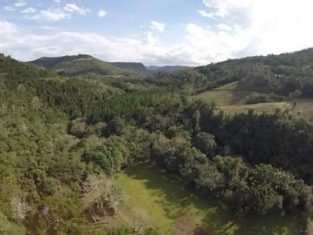 Fazenda venda em Região Geográfica Imediata de Caxias do Sul, Gramado