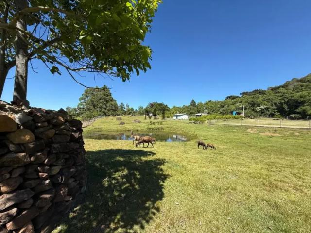 Fazenda venda em Região Geográfica Imediata de Caxias do Sul, Nova Petrópolis