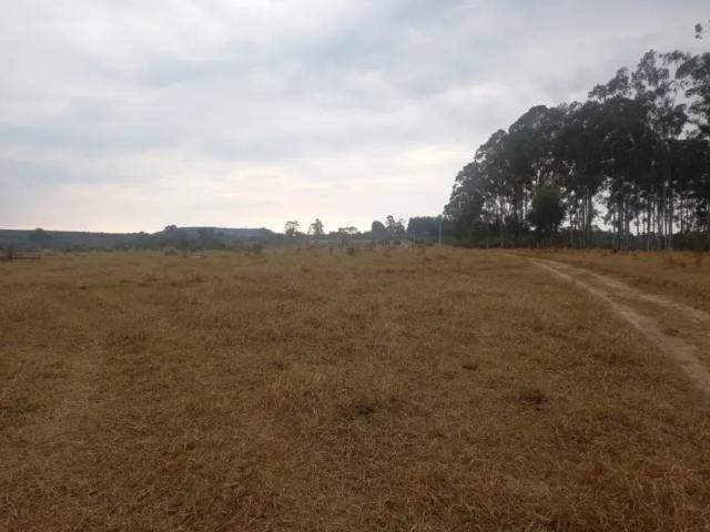 Fazenda venda em Região Imediata de Ribeirão Preto, Região Metropolitana de Ribeirão Preto