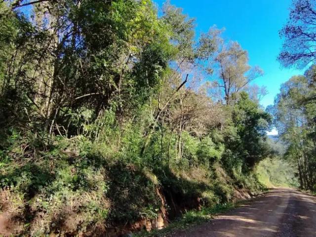 Fazenda venda em Região Geográfica Imediata de Caxias do Sul, Nova Petrópolis