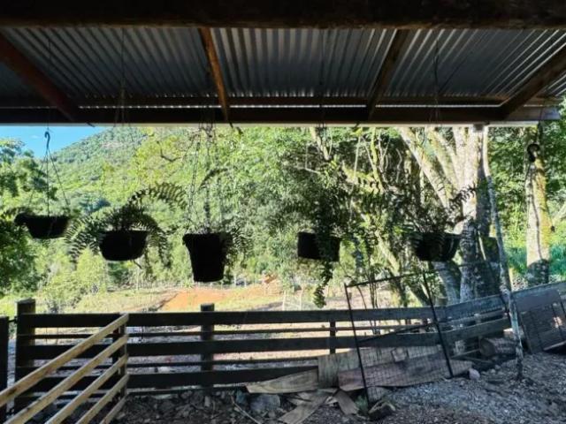 Fazenda venda em Região Geográfica Imediata de Caxias do Sul, Nova Petrópolis