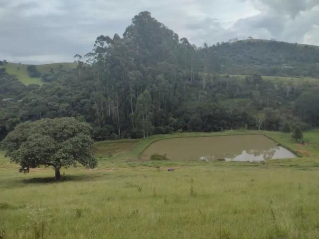 Fazenda venda em Região Imediata de Guaratinguetá, Região Metropolitana do Vale do Paraíba e Litoral Norte