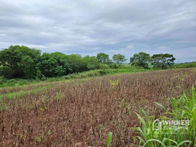 Fazenda venda em Região Geográfica Imediata de Maringá, Floresta