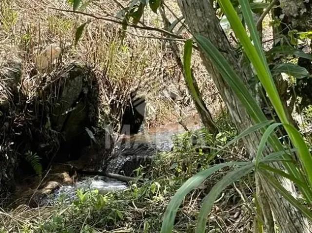 Fazenda venda em Região Geográfica Imediata de Caruaru, Gravata