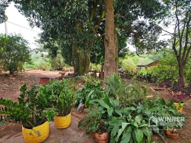 Fazenda venda em Região Geográfica Imediata de Maringá, Santa Fé
