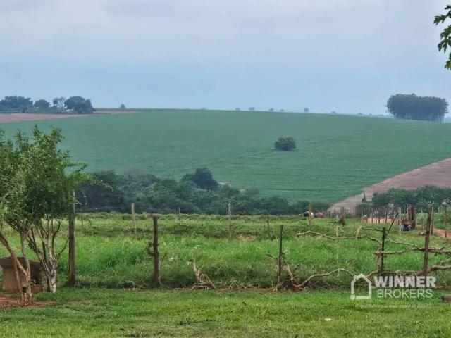 Fazenda venda em Região Geográfica Imediata de Maringá, Nova Esperança