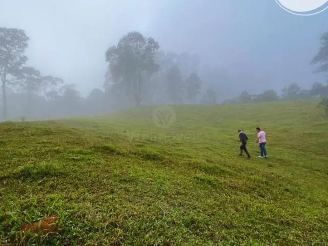 Fazenda venda em Região Geográfica Imediata de Blumenau, Gaspar