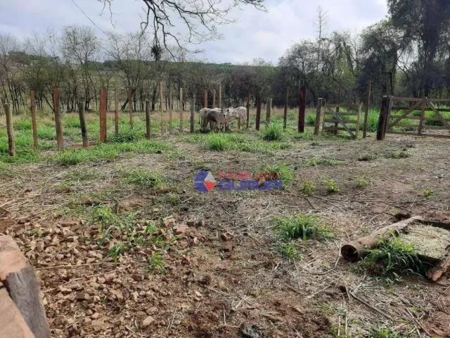 Fazenda venda em Região Imediata de São José do Rio Preto, Região Metropolitana de São José do Rio Preto