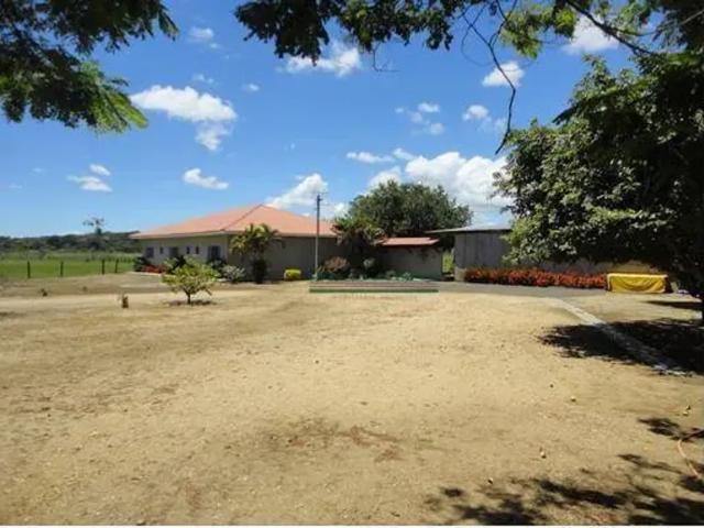 Fazenda venda em Região Imediata de Ribeirão Preto, Região Metropolitana de Ribeirão Preto