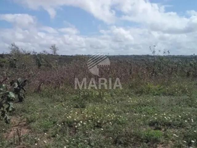 Fazenda venda em Região Geográfica Imediata de Garanhuns, Jupi