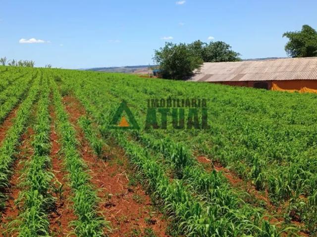 Fazenda venda em Região Geográfica Imediata de Londrina, Londrina