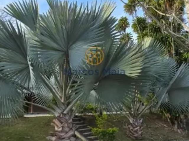 Fazenda aluguel em Granjas Reunidas Califórnia, Betim