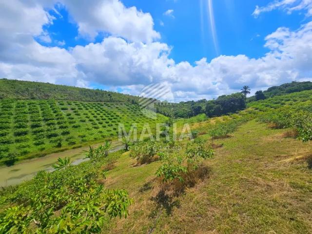 Fazenda venda em Região Geográfica Imediata de Caruaru, Gravata