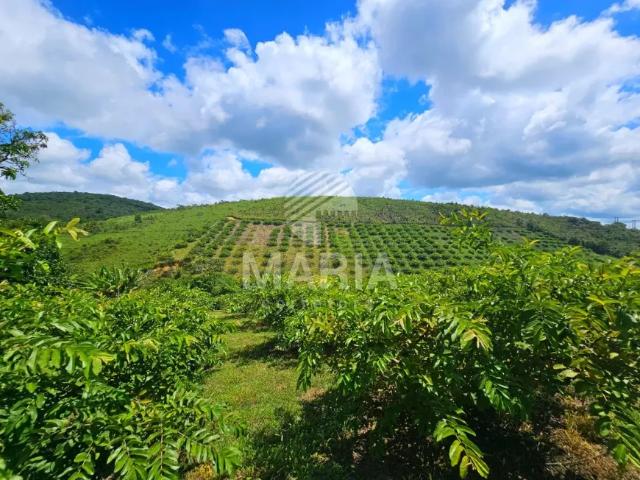 Fazenda venda em Região Geográfica Imediata de Caruaru, Gravata