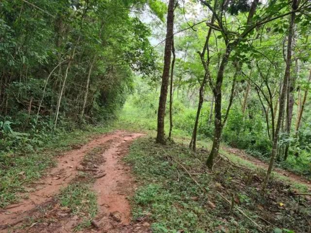 Fazenda venda em Região Imediata de Bragança Paulista, Piracaia