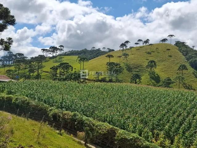 Fazenda venda em Região Geográfica Imediata de Florianópolis, Pouso Redondo