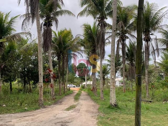 Fazenda venda em Região Geográfica Imediata de Eunápolis - Porto Seguro, Porto Seguro