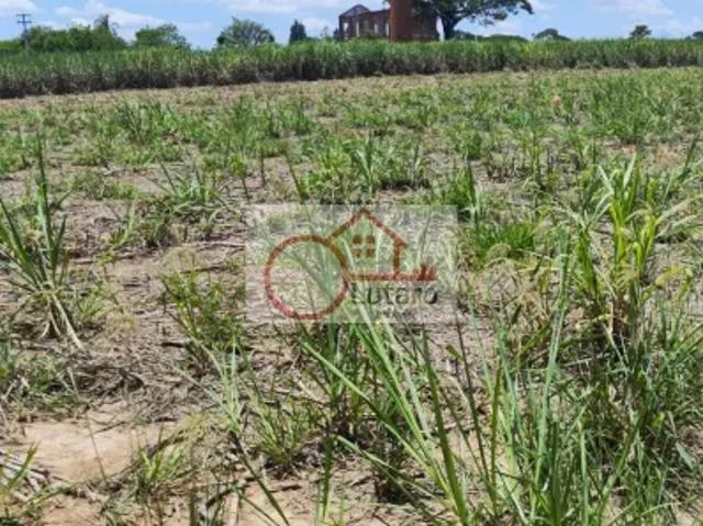 Fazenda venda em Região Imediata de Campinas, Região Metropolitana de Piracicaba