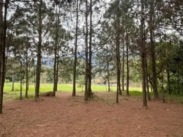 Fazenda venda em Região Geográfica Imediata de Joinville, Joinville