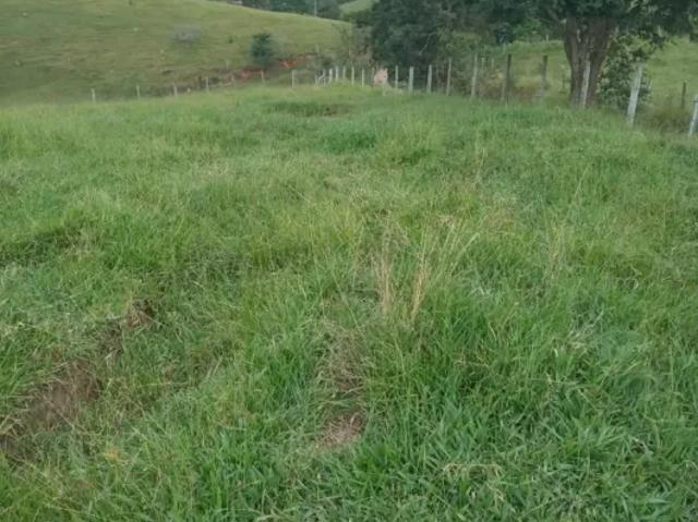 Fazenda venda em Região Imediata de São Paulo, Região Metropolitana de São Paulo