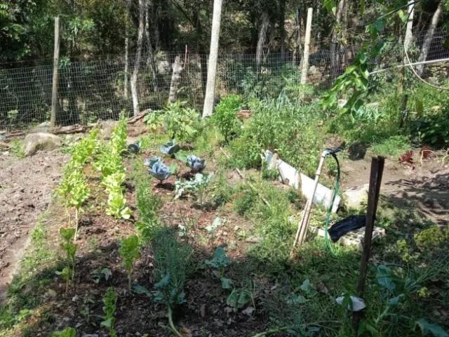 Fazenda venda em Região Geográfica Imediata de Florianópolis, Desterro