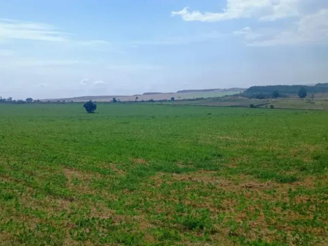 Fazenda venda em Região Geográfica Imediata de Flores de Goiás, Região Integrada de Desenvolvimento do Distrito Federal e Entorno