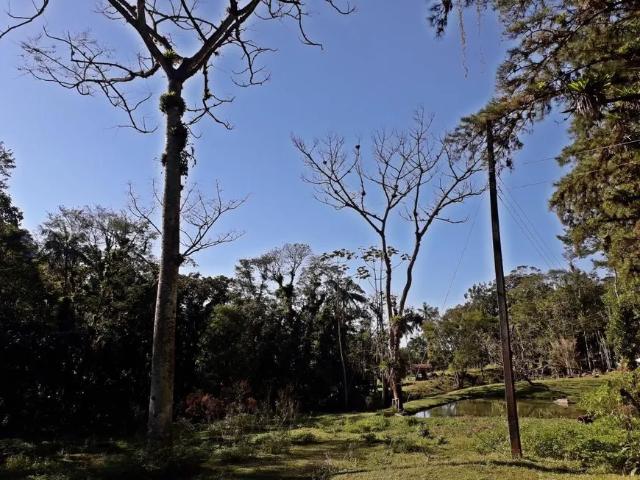Fazenda venda em Região Geográfica Imediata de Joinville, Joinville