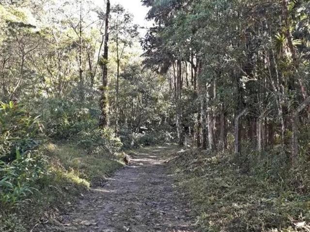 Fazenda venda em Região Geográfica Imediata de Joinville, Joinville