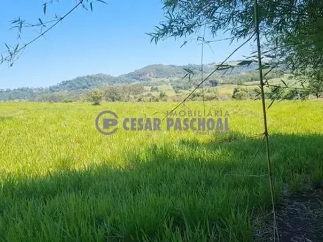 Fazenda venda em Região Imediata de Ribeirão Preto, Região Metropolitana de Ribeirão Preto