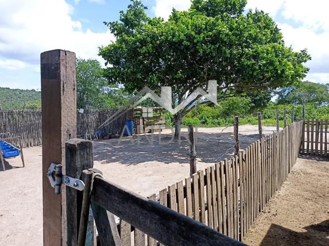 Fazenda venda em Região Geográfica Imediata de Caruaru, Gravata