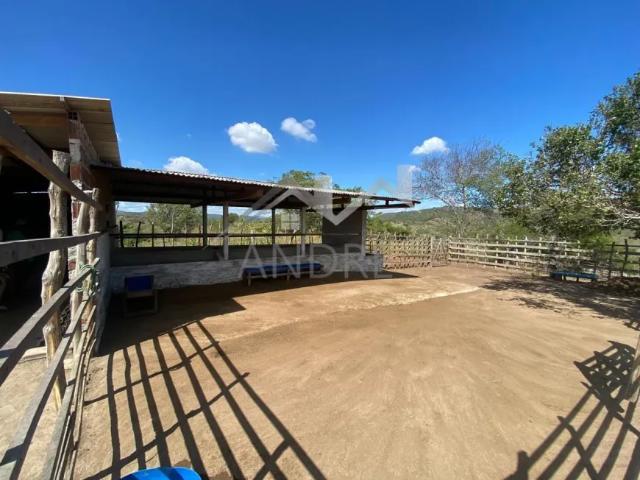 Fazenda venda em Região Geográfica Imediata de Caruaru, Gravata