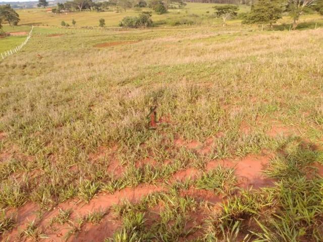 Fazenda venda em Região Imediata de Presidente Prudente, Álvares Machado