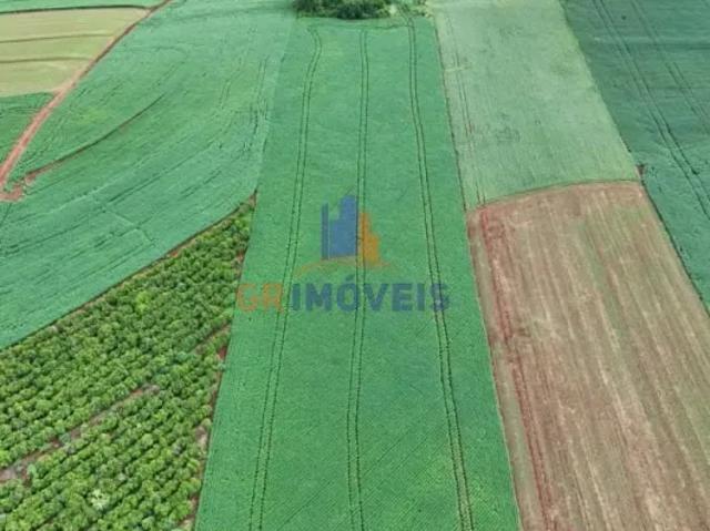 Fazenda venda em Região Geográfica Imediata de Cornélio Procópio-Bandeirantes, Santa Amélia