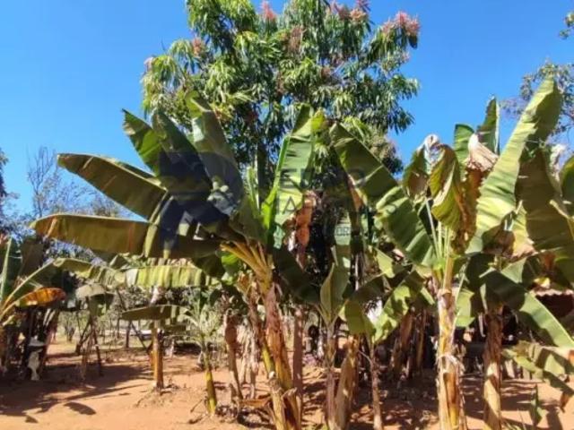 Fazenda venda em Região Geográfica Imediata de Sete Lagoas, Sete Lagoas