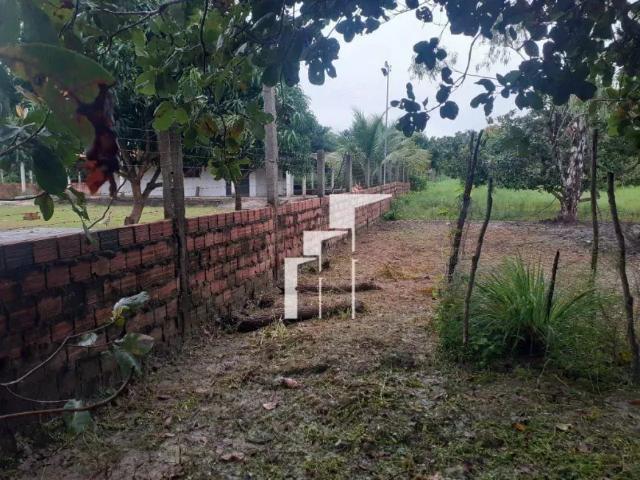 Fazenda venda em Região Geográfica Imediata de Teresina, Região Integrada de Desenvolvimento da Grande Teresina