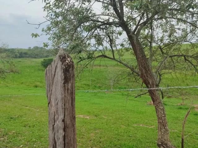 Fazenda venda em Região Imediata de São José dos Campos, Região Metropolitana do Vale do Paraíba e Litoral Norte