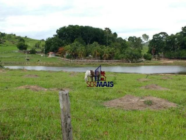 Fazenda venda em Região Geográfica Imediata de Ji-Paraná, Ouro Preto do Oeste