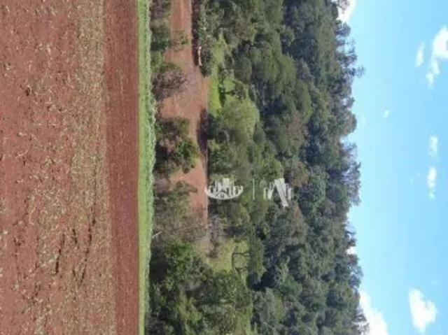 Fazenda venda em Região Geográfica Imediata de Londrina, Londrina