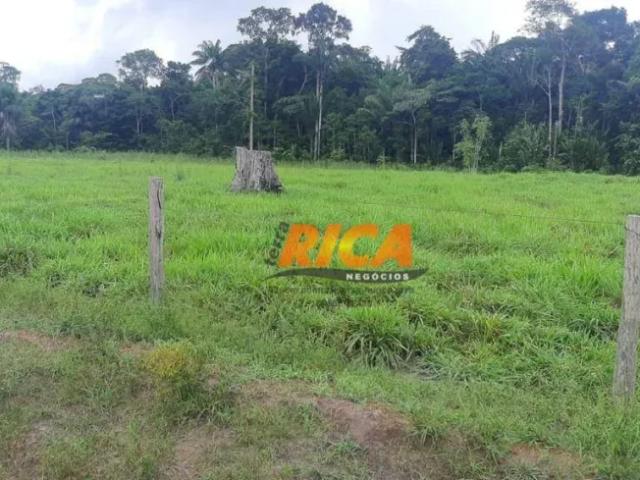 Fazenda venda em Região Geográfica Imediata de Porto Velho, Porto Velho