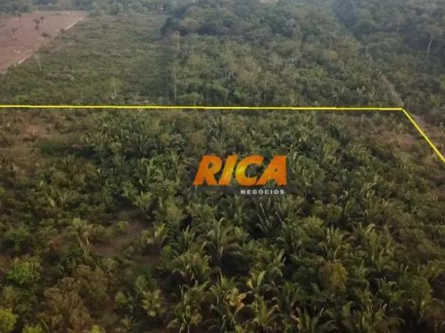 Fazenda venda em Região Geográfica Imediata de Porto Velho, Porto Velho