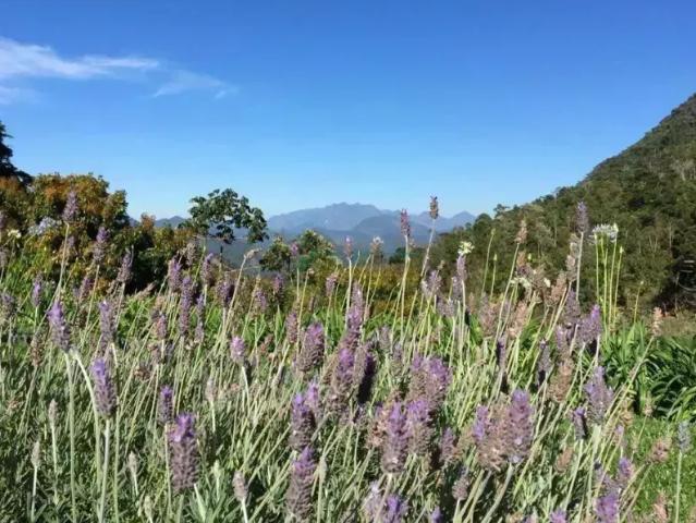 Fazenda venda em Região Geográfica Imediata de Petrópolis, Teresópolis