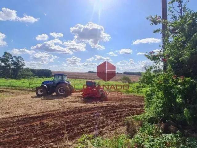 Fazenda venda em Região Geográfica Imediata de Maringá, Maringá