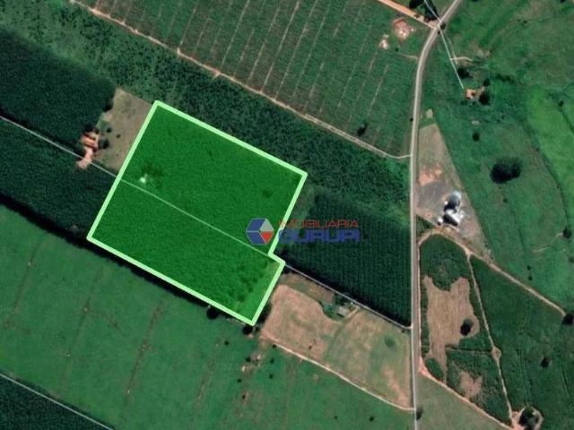 Fazenda venda em Região Imediata de Birigui-Penápolis, Turiúba