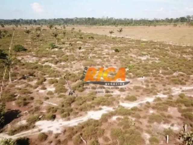 Fazenda venda em Região Geográfica Imediata de Porto Velho, Porto Velho