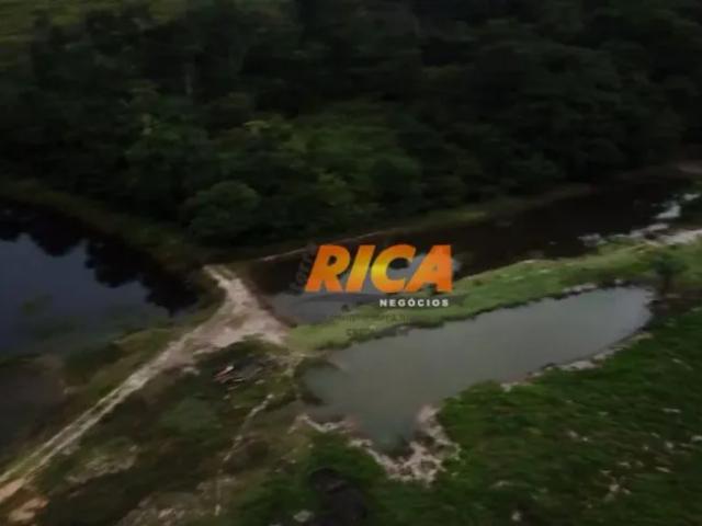 Fazenda venda em Região Geográfica Imediata de Porto Velho, Porto Velho