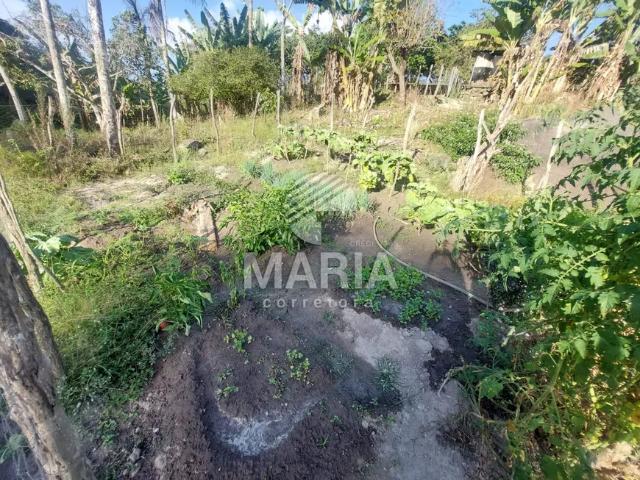 Fazenda venda em Região Geográfica Imediata de Caruaru, Gravata